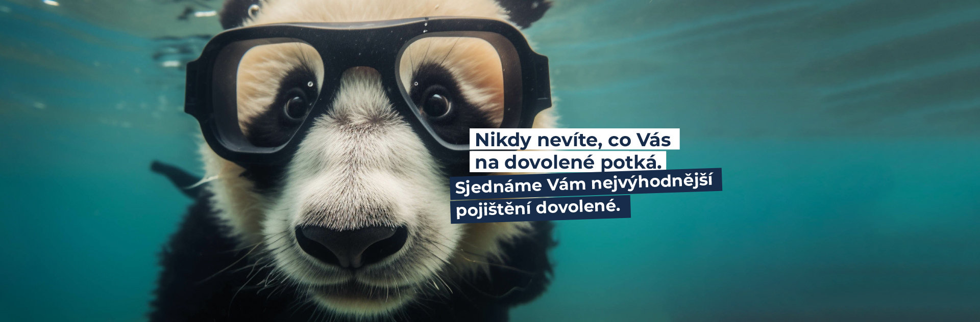panda_slider